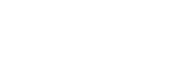 Bonitour